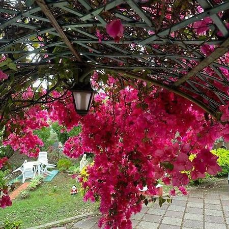 Casa Vacanze La Brii อีเกลเซียส ภายนอก รูปภาพ