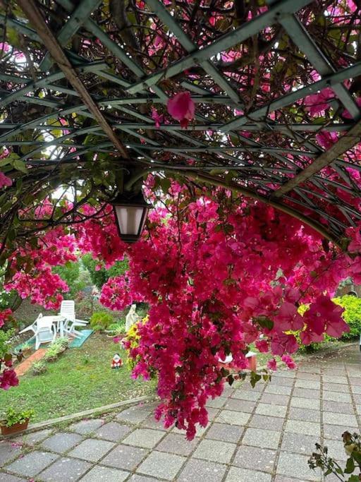 Casa Vacanze La Brii อีเกลเซียส ภายนอก รูปภาพ